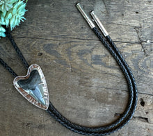 Load image into Gallery viewer, Sterling Silver And Fossilized Mako Shark Tooth Bolo Tie
